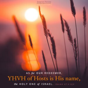 Isa 47:4 | Scripture Pictures @ alittleperspective.com