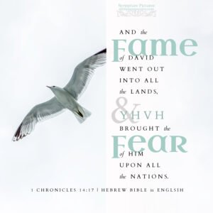 1 Chr 14:17 | Scripture Pictures @ alittleperspective.com