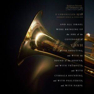 1 Chr 15:28 | Scripture Pictures @ alittleperspective.com