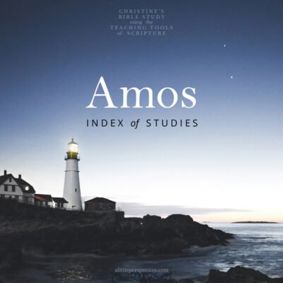 Amos Index of Studies