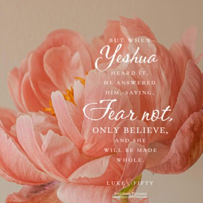 March 14 Bible Reading