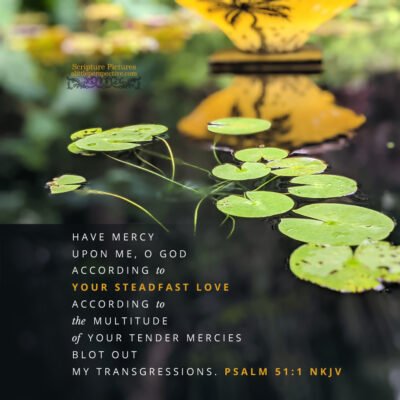 August 21 Bible Reading