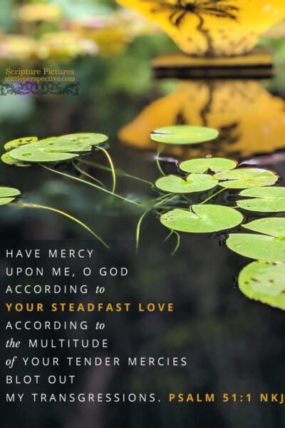 Psa 51:1 | Scripture Pictures @ alittleperspective.com