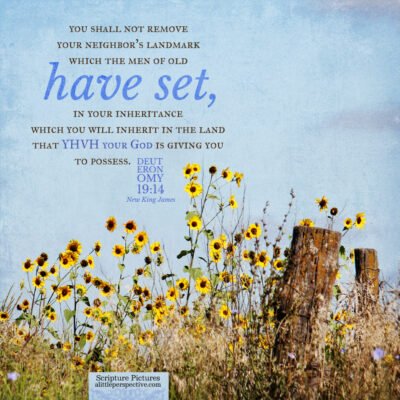 Deuteronomy 19 and 20