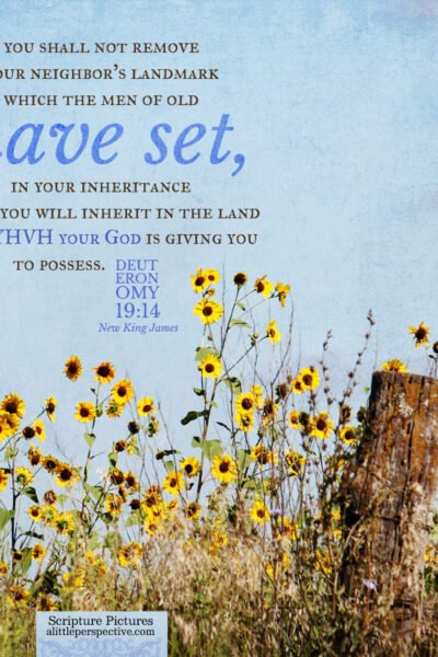 Deu 19:14 | Scripture Pictures @ alittleperspective.com