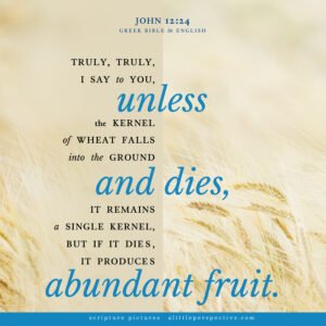 Joh 12:24 | Scripture Pictures @ alittleperspective.com