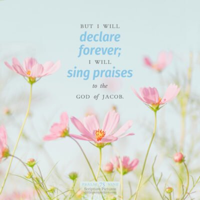 September 14 Bible Reading