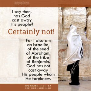 Rom 11:1-2a | Scripture Pictures @ alittleperspective.com