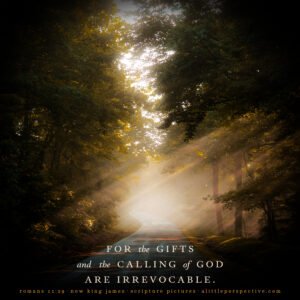 Rom 11:29 | Scripture Pictures @ alittleperspective.com