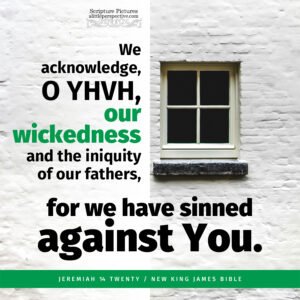 Jer 14:20 | Scripture Pictures @ alittleperspective.com