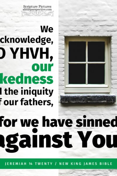 Jer 14:20 | Scripture Pictures @ alittleperspective.com