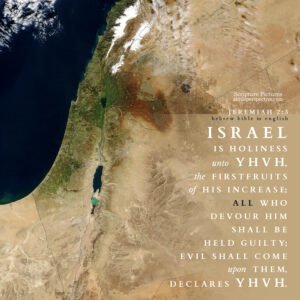 Jer 2:3 | Scripture Pictures @ alittleperspective.com