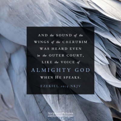 November 05 Bible Reading