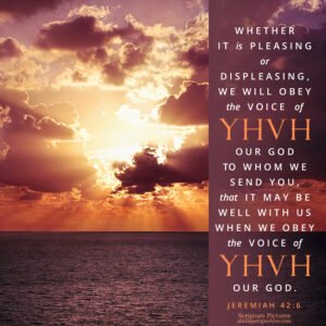 Jer 42:6 | Scripture Pictures @ alittleperspective.com