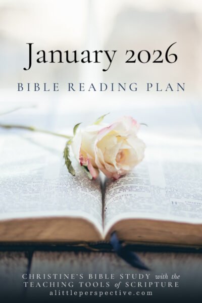 January 2026 Bibe Reading Plan | Christine's Bible Study @ alittleperspective.com