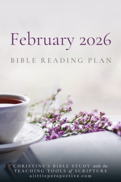 February 2026 Bible Reading Plan | Christine's Bible Study @ alittleperspective.xom