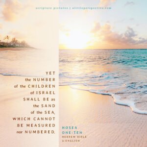 Hos 1:10 | Scripture Pictures @ alittleperspective.com