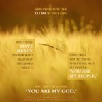 Hos 2:23 | Scripture Pictures @ alittleperspective.com