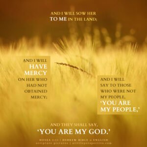 Hos 2:23 | Scripture Pictures @ alittleperspective.com