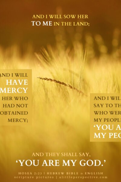 Hos 2:23 | Scripture Pictures @ alittleperspective.com
