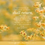 Hos 3:5 | Scripture Pictures @ alittleperspective.com