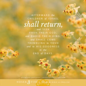 Hos 3:5 | Scripture Pictures @ alittleperspective.com