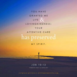 Job 10:12 | Scripture Pictures @ alittleperspective.com