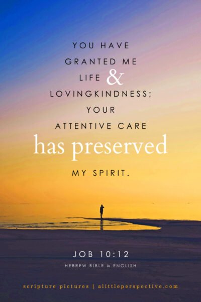 Job 10:12 | Scripture Pictures @ alittleperspective.com