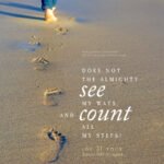 Job 31:4 | Scripture Pictures @ alittleperspective.com