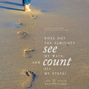 Job 31:4 | Scripture Pictures @ alittleperspective.com