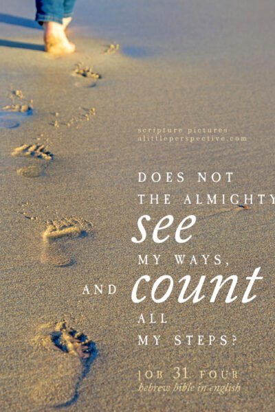 Job 31:4 | Scripture Pictures @ alittleperspective.com