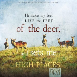 Psa 18:33 | Scripture Pictures @ alittleperspective.com