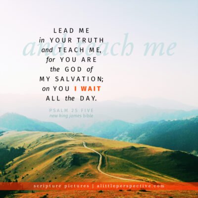 January 25 Bible Reading