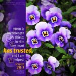 Psa 28:7 | Scripture Pictures @ alittleperspective.com