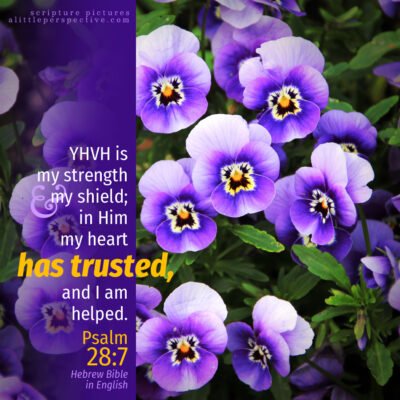 January 28 Bible Reading