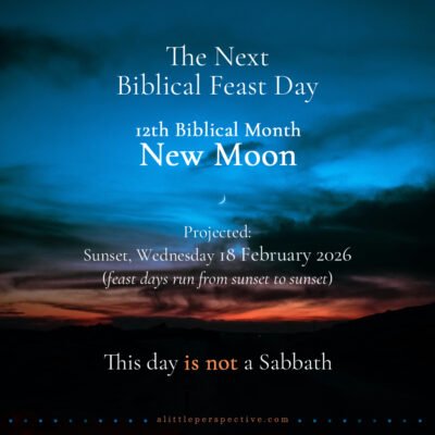 12th Month New Moon | alittleperspective.com