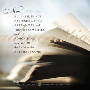 1 Cor 10:11 | Scripture Pictures @ alittleperspective.com