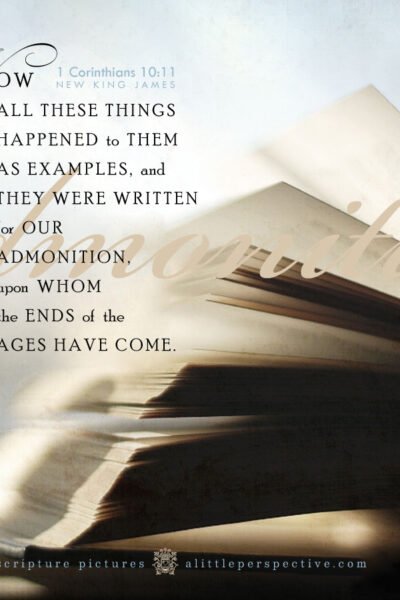 1 Cor 10:11 | Scripture Pictures @ alittleperspective.com