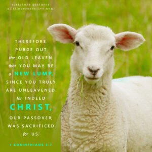 1 Cor 5:7 | Scripture Pictures @ alittleperspective.com