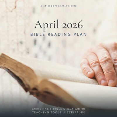 April 2026 Bible Reading Plan | Christine's Bibkle Study @ alittleperspective.com