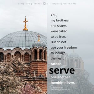 Gal 5:13 | Scripture Pictures @ alittleperspective.com