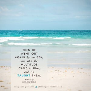 Mar 2:13 | Scripture Pictures @ alittleperspective.com