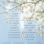 Num 9:14 | Scripture Pictures @ alittleperspective.com