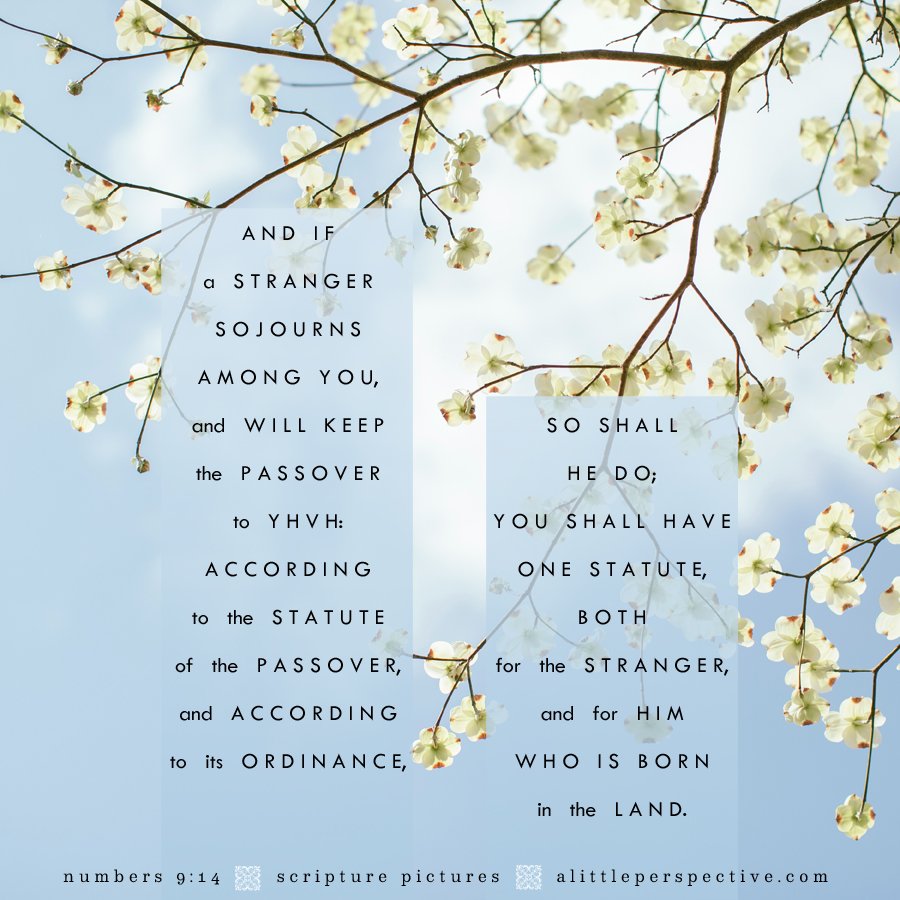 Num 9:14 | Scripture Pictures @ alittleperspective.com