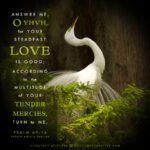 Psa 69:16 | Scripture Pictures @ alittleperspective.com