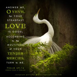 Psa 69:16 | Scripture Pictures @ alittleperspective.com