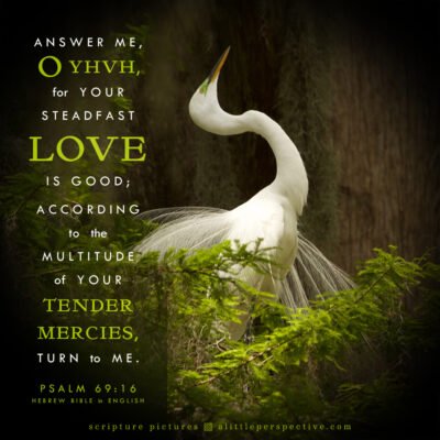 Psa 69:16 | Scripture Pictures @ alittleperspective.com
