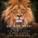 Rev 5:5 | Scripture Pictures @ alittleperspective.com