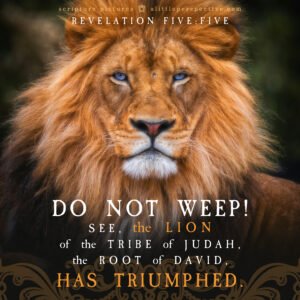 Rev 5:5 | Scripture Pictures @ alittleperspective.com