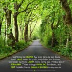 Isa 42:16 | Scripture Pictures @ alittleperspective.com